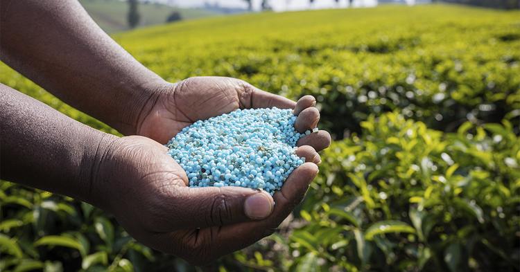 Interesse no mercado de biofertilizantes cresce, mas custo alto é desafio