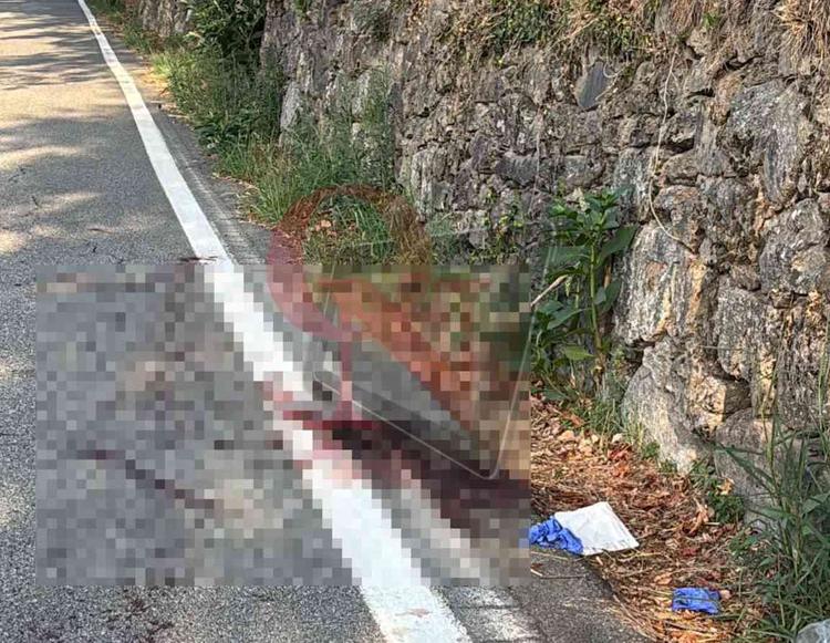 chiesanuova cuorgnè incidente moto