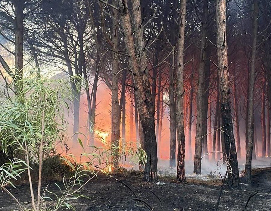 Incendio al Poligono di Lido tra Eboli e Capaccio Paestum: elicotteri in azione
