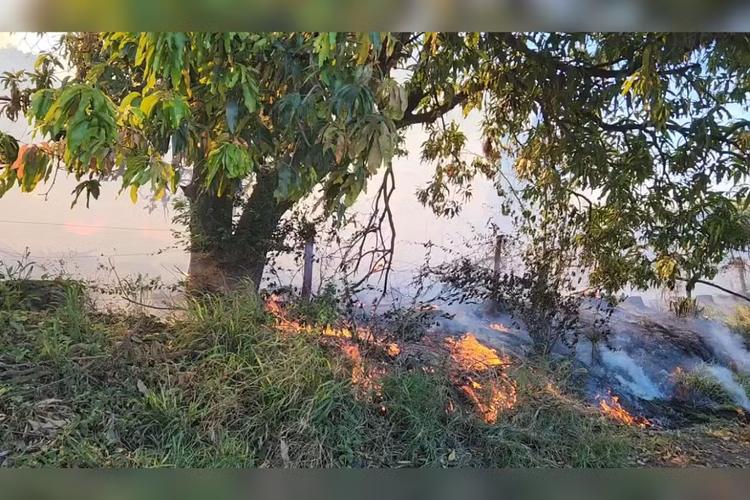 Incêndio atinge 15 mil m² de vegetação e mobiliza equipes de combate em Regente Feijó