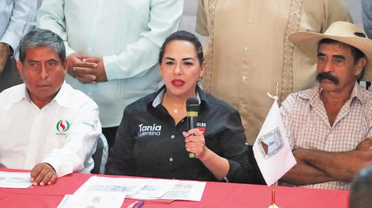 Escarabajo ambrosia y gusano barrenador: La plaga que Tania Valentina urge detener en Morelos.