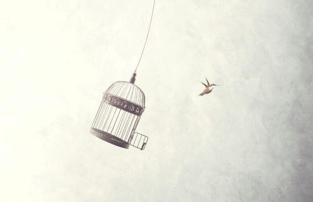 The balance between creative freedom and protecting copyright