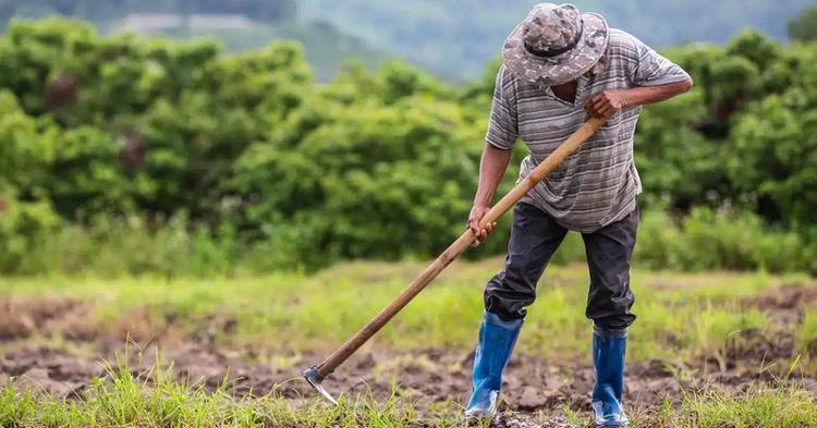Agricultura familiar responde por 75% das propriedades rurais no Espírito Santo e sustenta cooperativismo capixaba