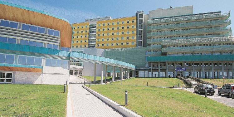 Realizzare in Calabria "una scuola dell’imprenditorialità", l'idea dei tre rettori