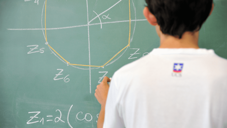 UCS oferece 400 bolsas de estudos 100% gratuitas para cursos de Licenciatura