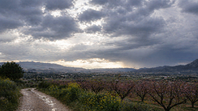 #Comarca: Fin de semana con cambios en el Vinalopó: de la lluvia a la mejora progresiva