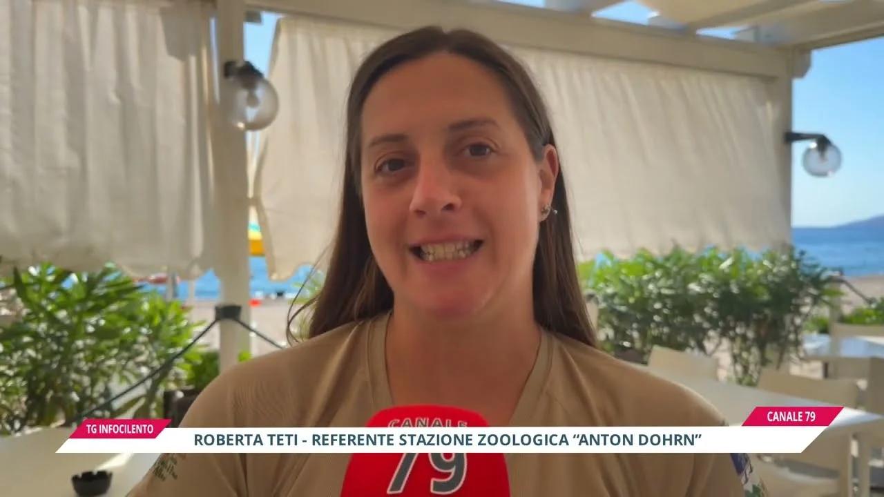 Cilento, al via la stagione della nidificazione della caretta caretta: parla Roberta Teti, referente della stazione Anton Dohrn