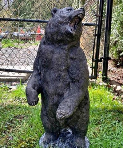 卡加利動物園的一頭灰熊跑出圍欄