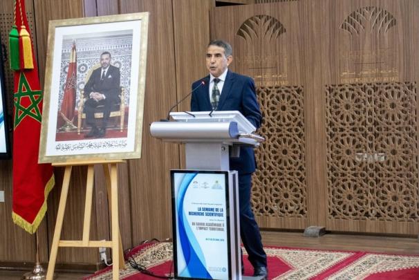 مسودة تلقائية