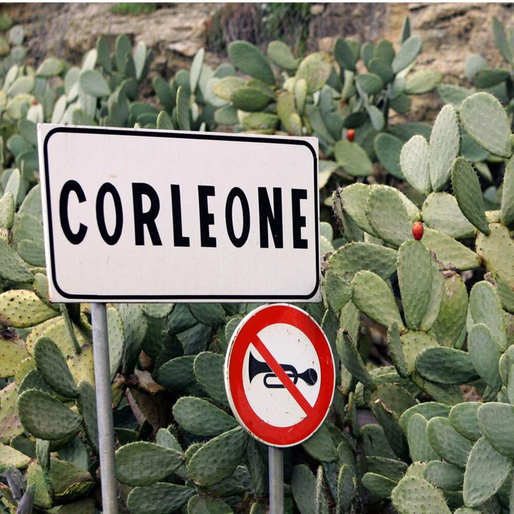 Torna l’ombra della mafia di Corleone, arrestato il nipote di Totò Riina