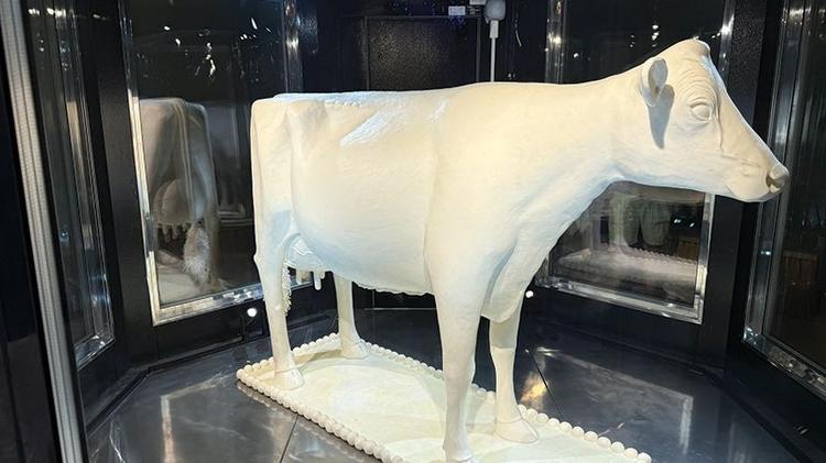 Cow made of butter, Renwick Gallery. (Janam Gupta/Siliconeer)