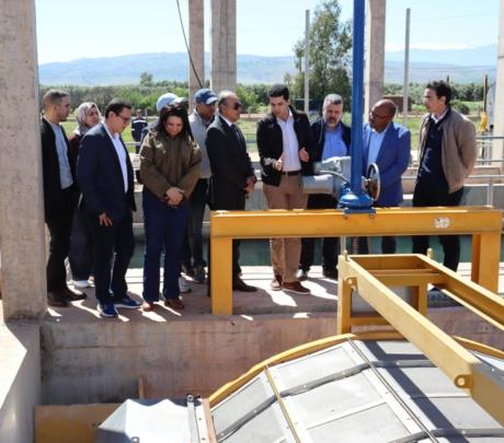 مسودة تلقائية