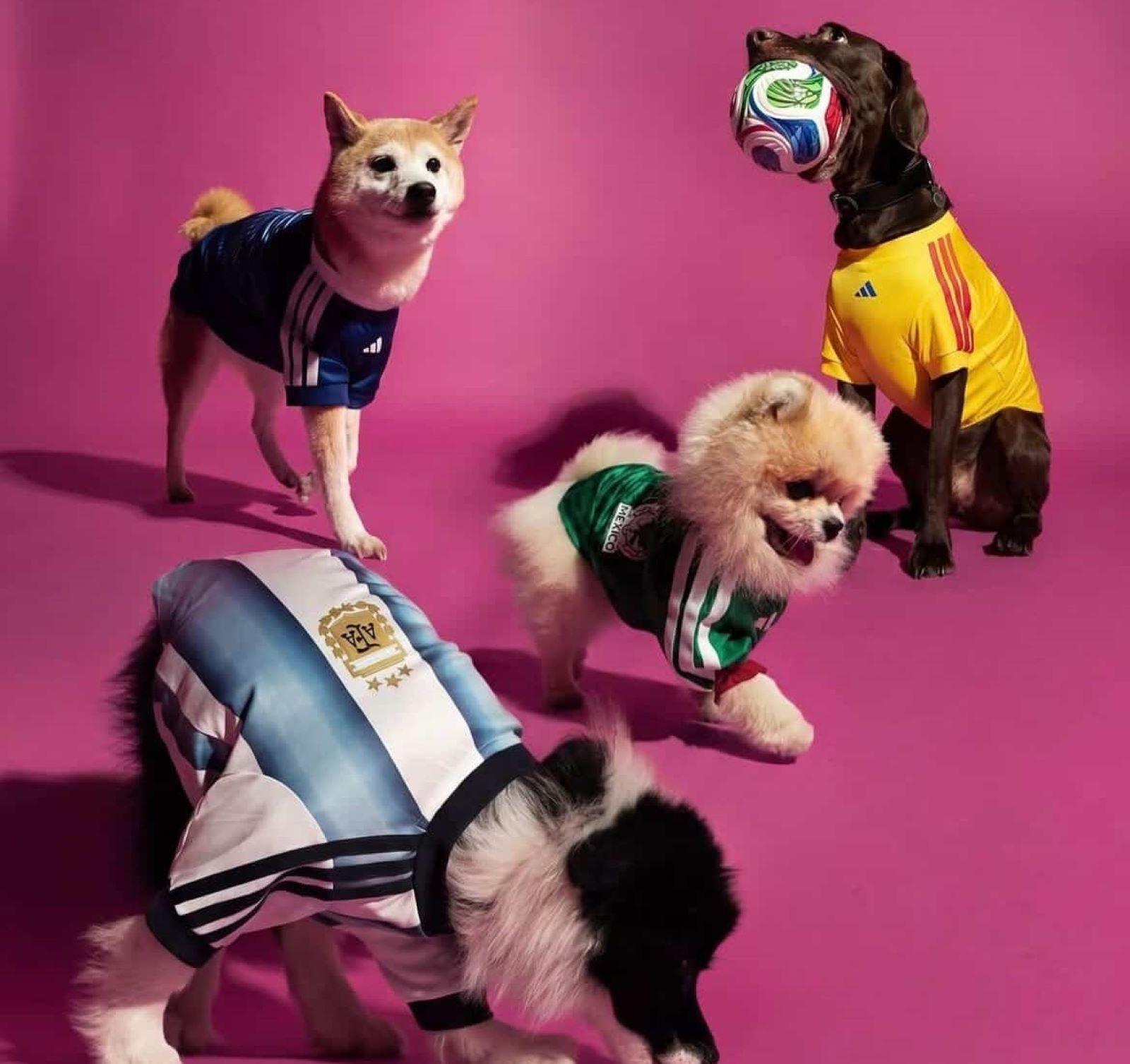 Adidas Launches Official 2026 World Cup Jerseys for Pets