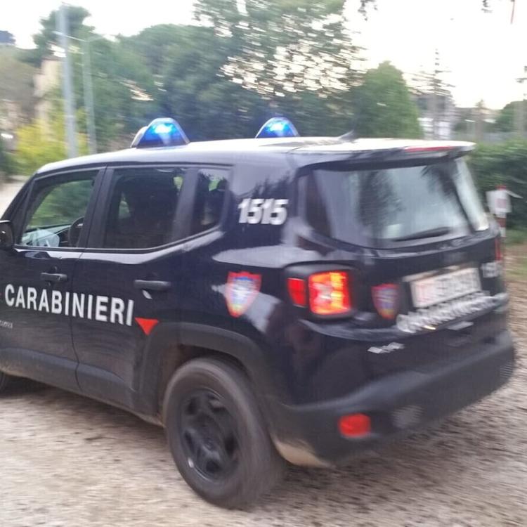 Anziano trovato morto nel leccese, indagato il proprietario di due rottweiler