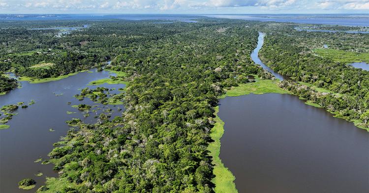 Desmatamento cai 17% na Amazônia e área destruída é a menor em oito anos