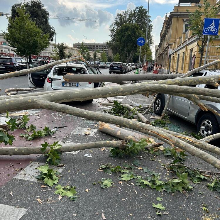 Roma: tragedia sfiorata in via Ostiense, albero cade su taxi in transito