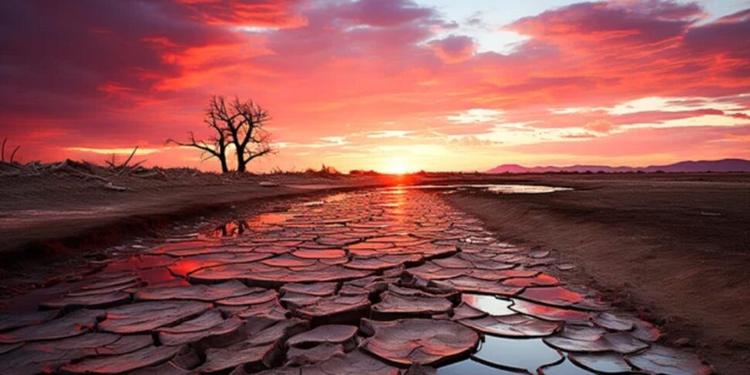 Il dato dell'Oms: oltre 1.300 morti legati al caldo in Europa in una settimana