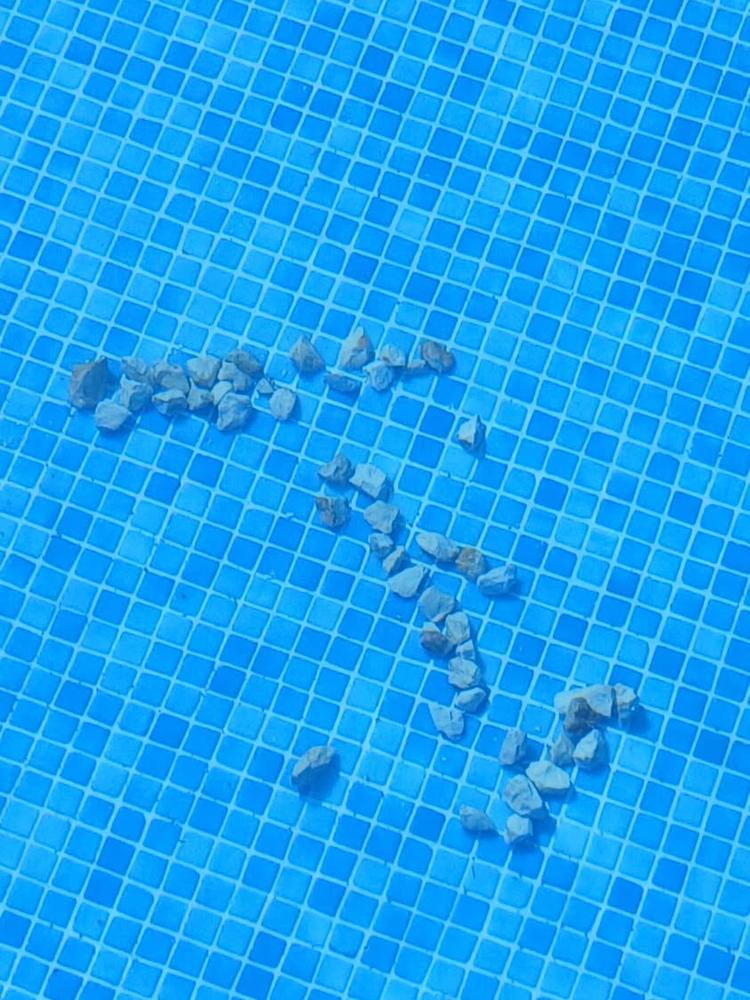 🚨AVISO IMPORTANTE🚨 🏊🏻‍♀️ Durante la jornada del sábado y del domingo se han producido actos incívicos en nuestra pis...
