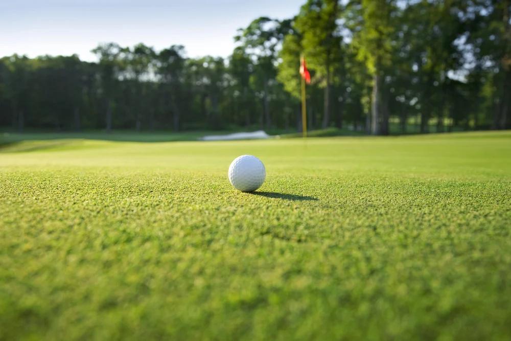Vibonati punta sul turismo sportivo: avviata l’indagine di mercato per un campo da golf a costo zero