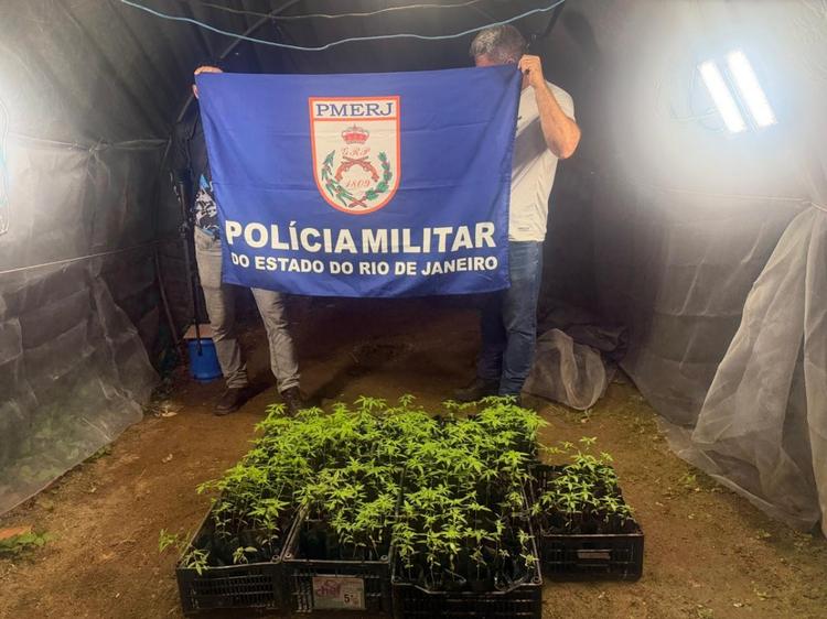 Duas mulheres são presas em estufa com 190 pés de maconha em Angra dos Reis