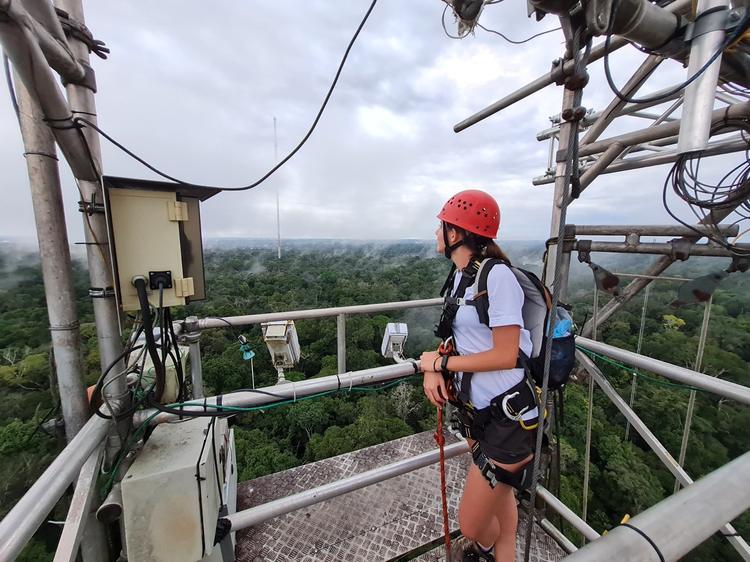 Cientistas descobrem 'elevador invisível' que transporta vida pela Amazônia