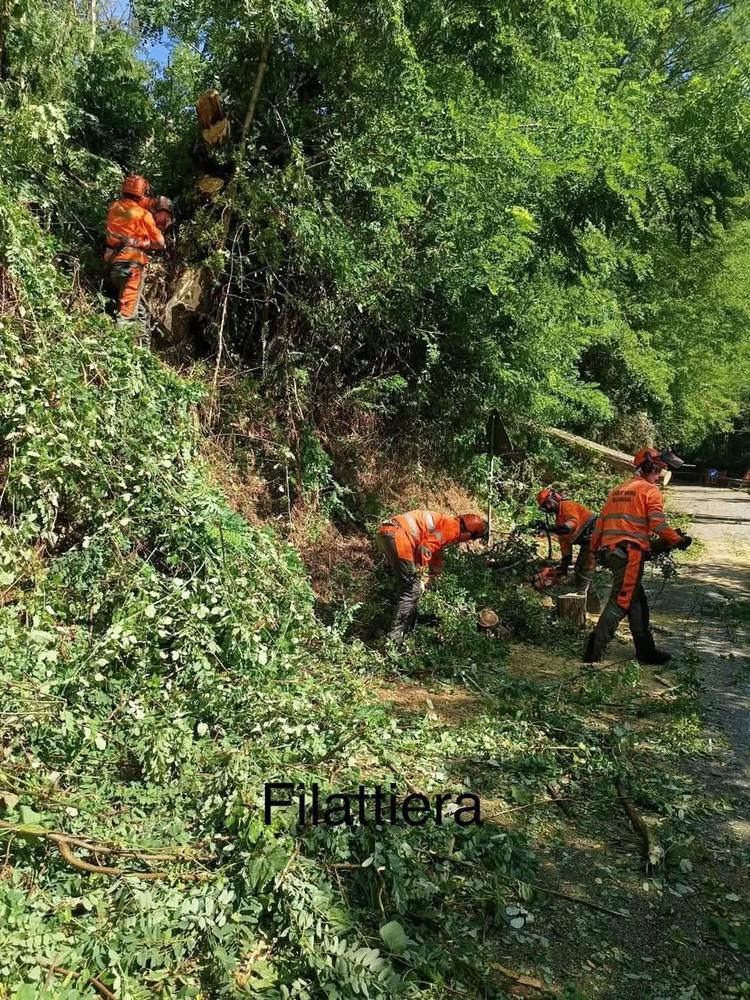 🌿 OPERAI FORESTALI: IL LAVORO SUL TERRITORIO NON SI FERMA Nel mese di giugno 2026 gli operai forestali dell’Unione di C...
