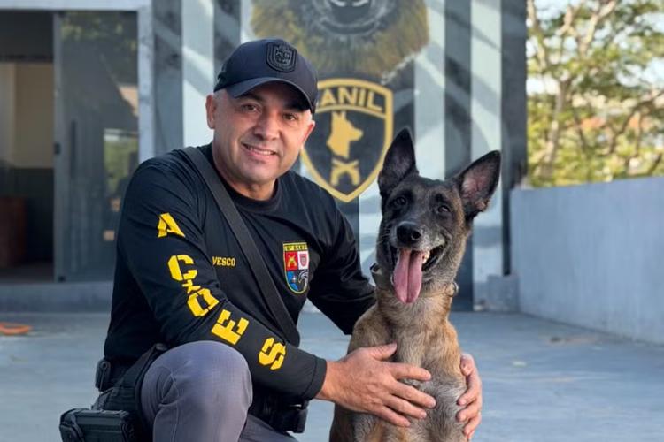 K9 Kira e policial do Baep do interior de SP representam o Brasil em 'Olimpíada Canina' nos EUA