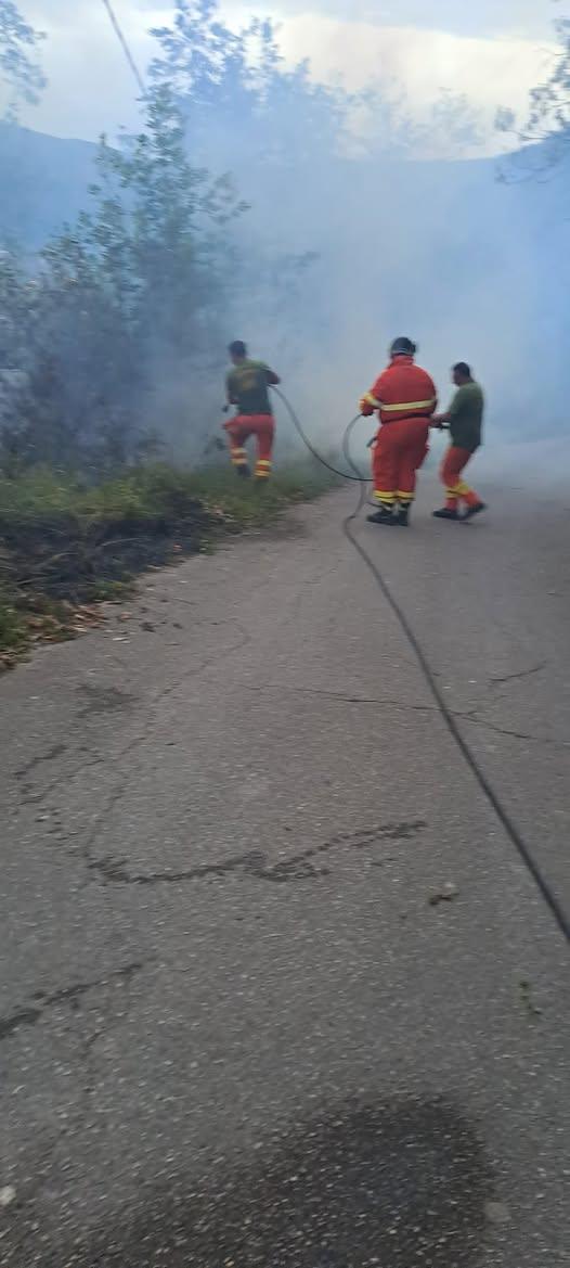 🙏Un vasto incendio, appiccato da mani irresponsabili e alimentato dal forte vento di scirocco, si è sviluppato ieri nel...