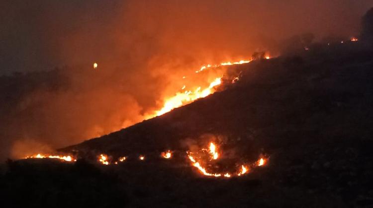 Alta Murgia in fiamme, allarme geologi: “Ora cresce rischio idrogeologico”