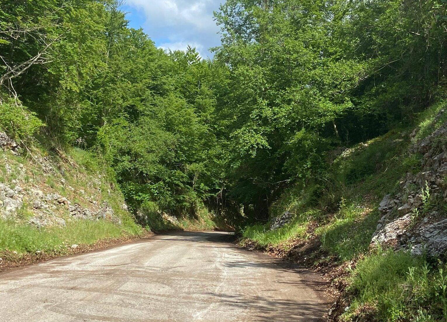 Sp 12, al via i lavori di pulizia e messa in sicurezza tra Sant’Angelo a Fasanella e Petina