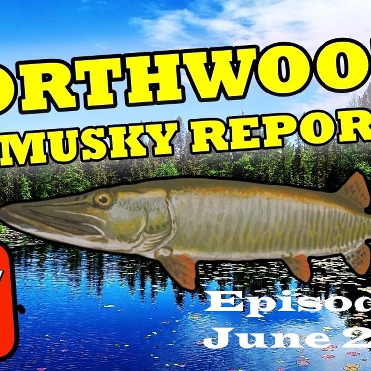 6: Northwoods Fishing Report : June 28th