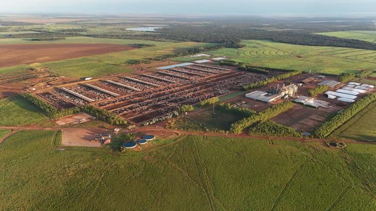 Fazendas de confinamento no Tocantins têm capacidade para manter 65 mil animais em engorda