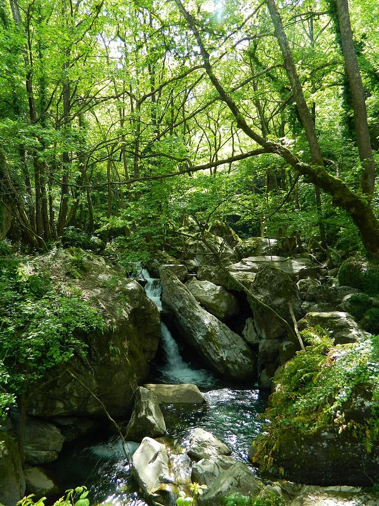 Family Destination found in Pelion