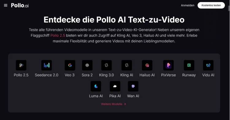 Pollo AI Text-zu-Video Plattform mit Modellübersicht