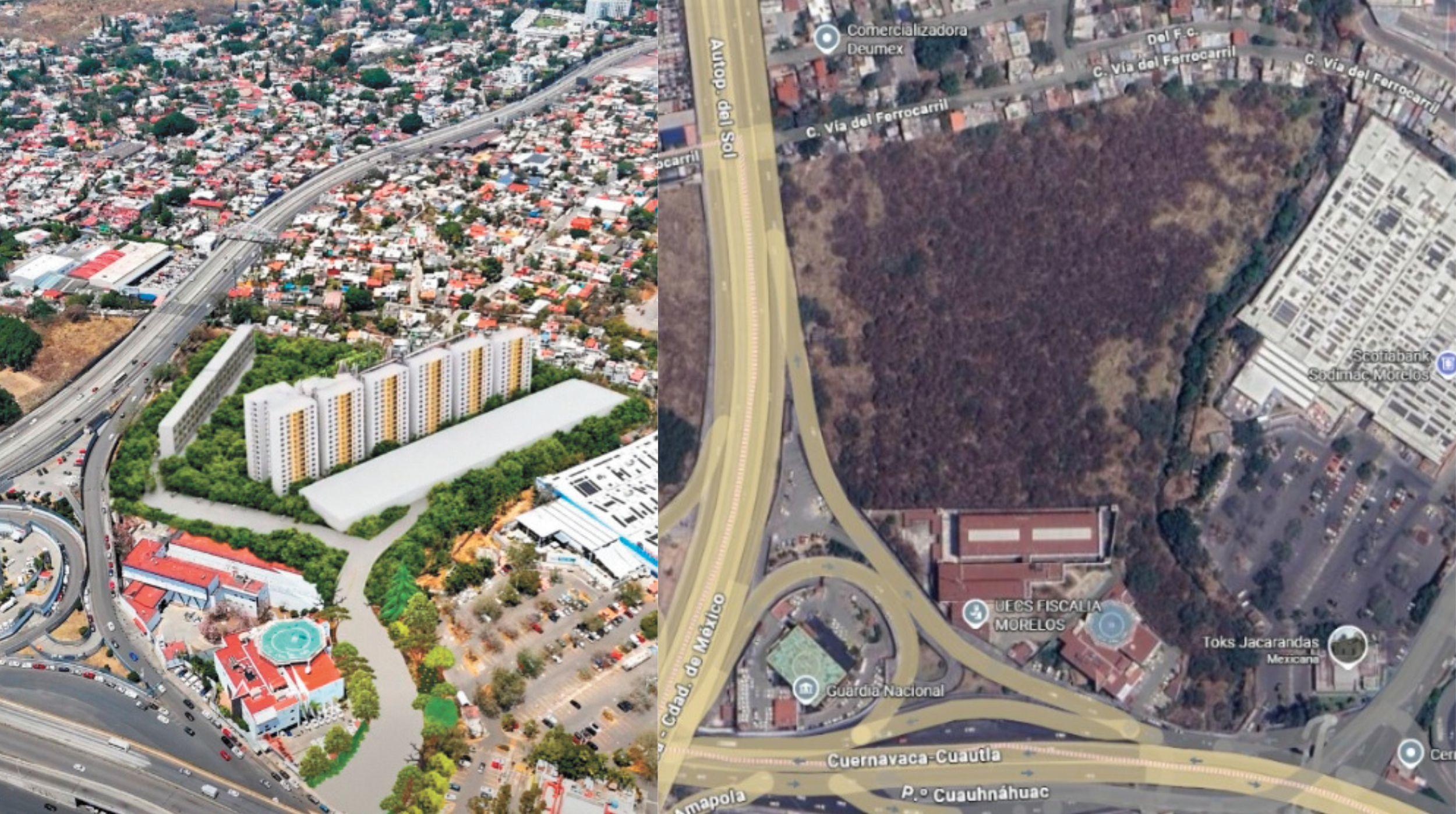 Peligran mil 600 árboles en Cuernavaca por nuevo desarrollo habitacional que carece de permisos ambientales