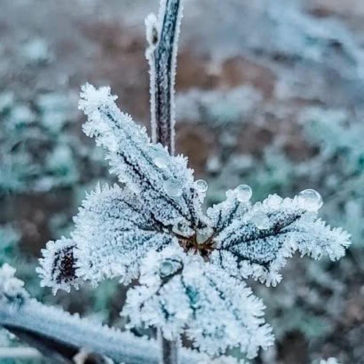 Vacaria registra temperatura mais baixa do ano