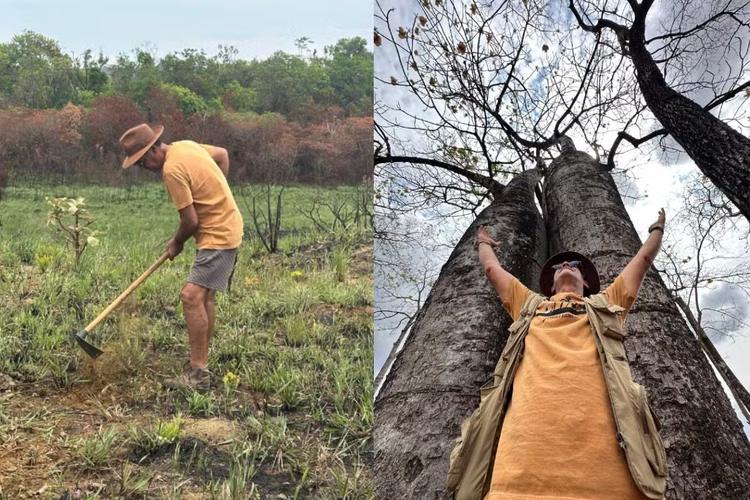 O berço das águas: restauração no Cerrado aumenta em 79% retenção do solo e alimenta o Pantanal