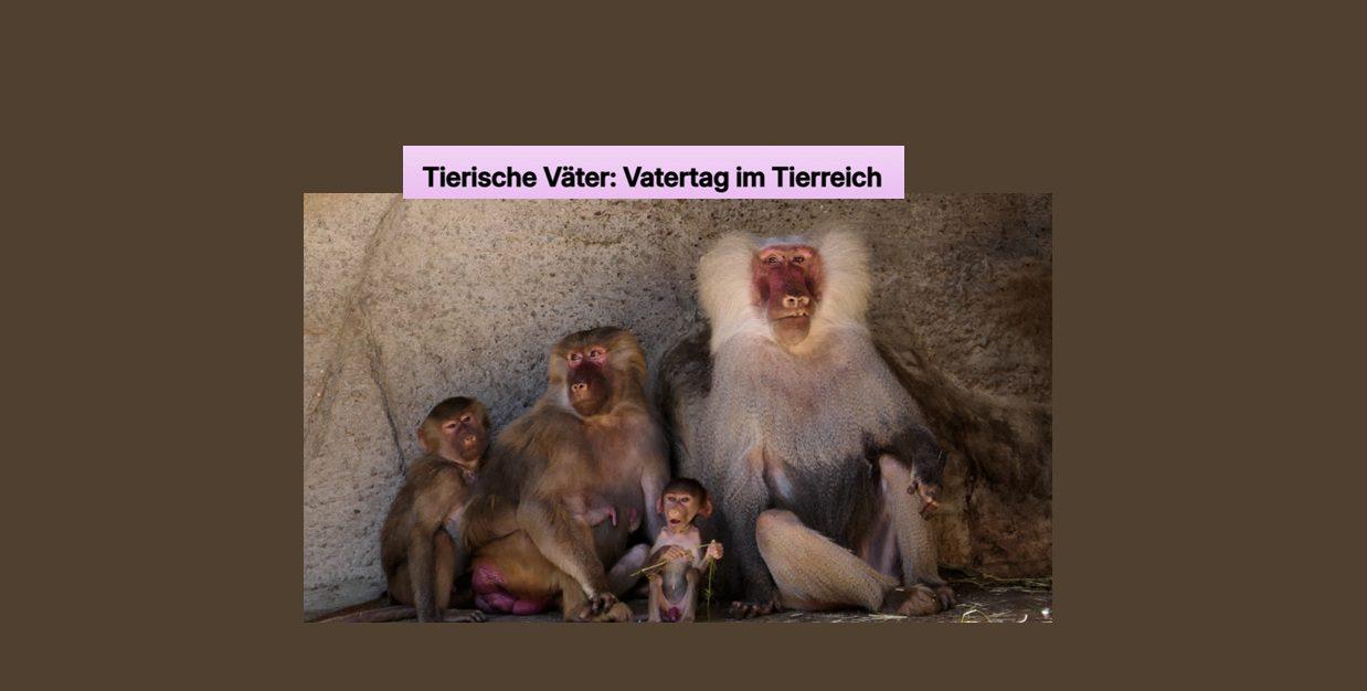 Vatertag im Tierreich