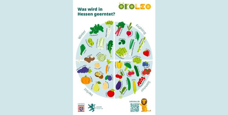  Saisonkalender mit Obst- und Gemüse vom ÖkoLeo