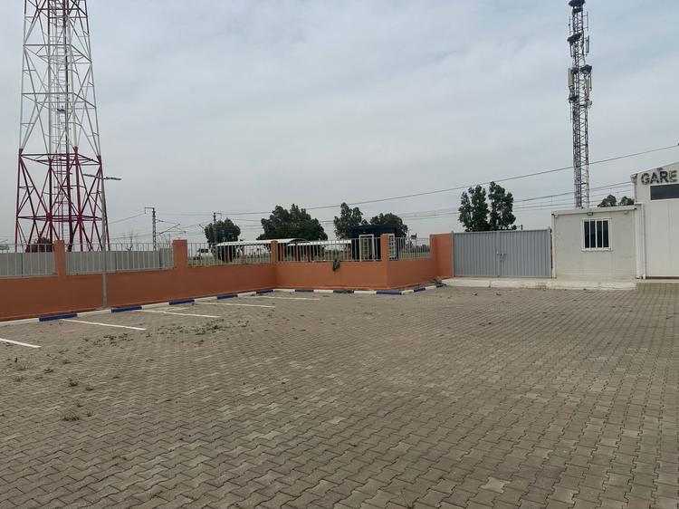 مسودة تلقائية