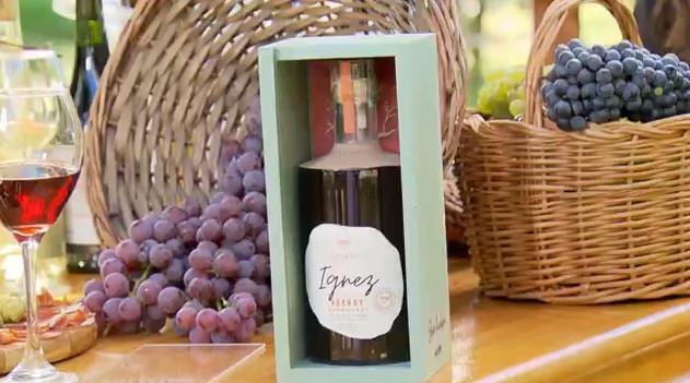 Vinhos soterrados por enchentes no RS viram edição especial; agricultores celebram retomada após tragédia