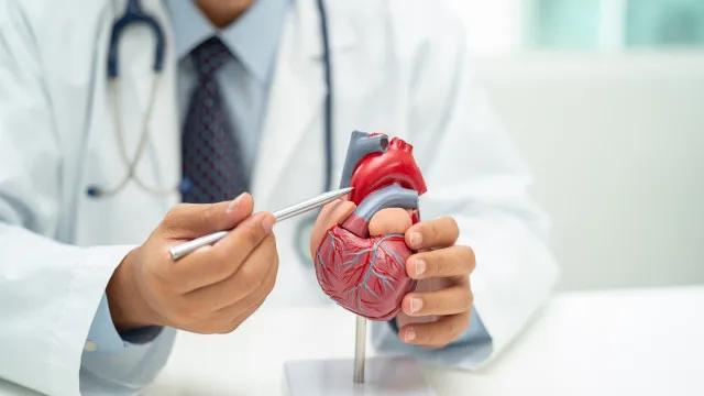 Insuficiência cardíaca: Sinais e fatores de risco desta doença grave
