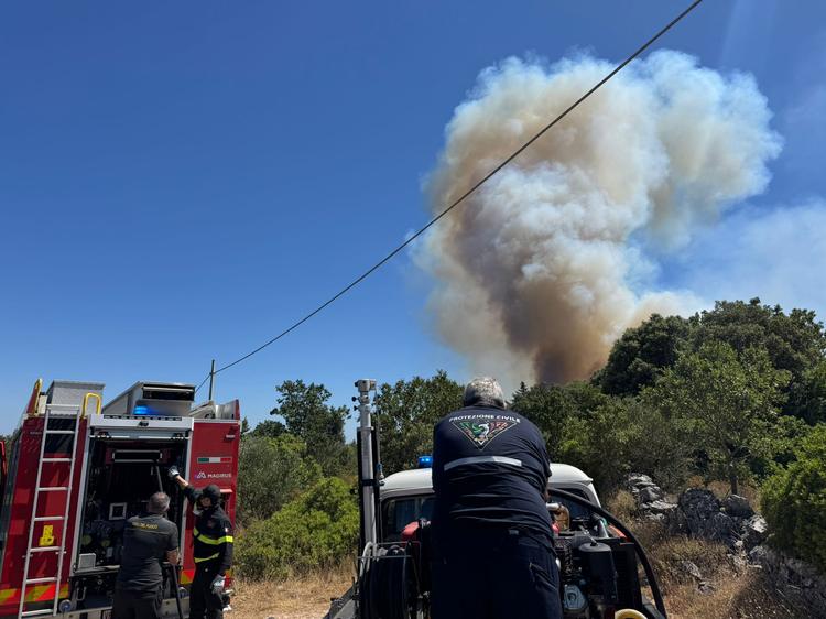 Paura tra Martina Franca e Villa Castelli: vasto incendio in zona San Domenico dello Scagno