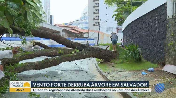 Vídeos do g1 e TV Bahia - sexta-feira, 5 de junho de 2026