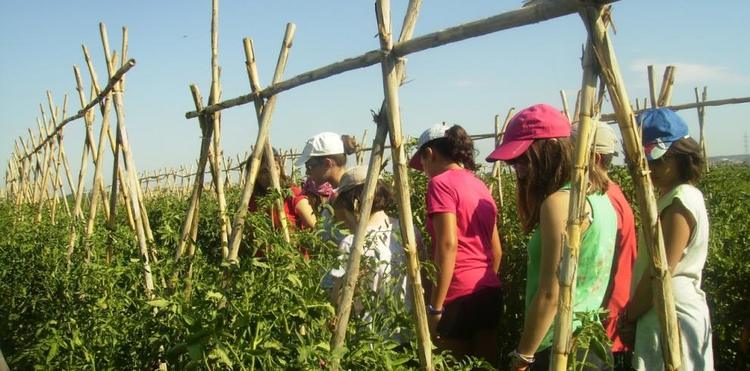 Aragón regula las actividades extraescolares y los viajes de estudios para reforzar su seguridad