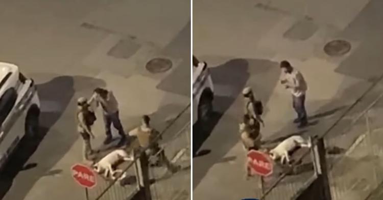 Cachorro é morto pela PM após avançar contra policial durante abordagem a pessoa em situação de rua em Itajaí