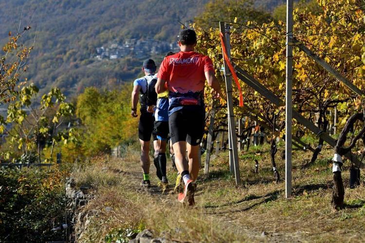 Il Valtellina Wine Trail fa il tutto esaurito. Quattromila runner tra vigneti e cantine