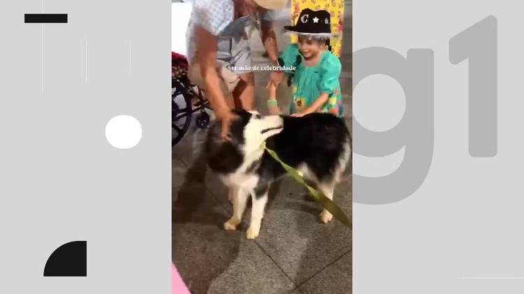 Tutores aproveitam o São João de Campina Grande para passear com cães no Parque do Povo: 'Sempre pedem foto'