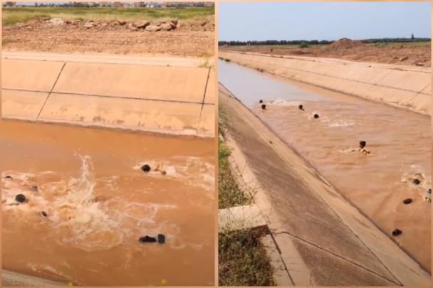 أطفال القرى يبحثون عن المتعة في مياه تهدد حياتهم