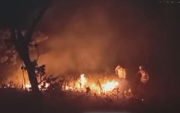 Incêndio consome mais de 1,2 mil hectares de Cerrado na Chapada dos Veadeiros